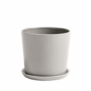 Botanical Family Set Large