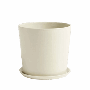 Botanical Family Set XL