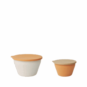 Dale Foldable Bowl Set