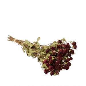 Dried Flowers - spray Roses Natural Red