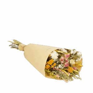 Dried Flowers Field Bouquet Large - Pink Lemonade