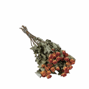 Dried Flowers - spray Roses Natural Vintage Lila