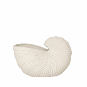 Shell Pot