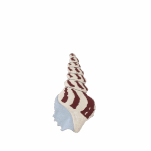 Fruiticana Shell Toy