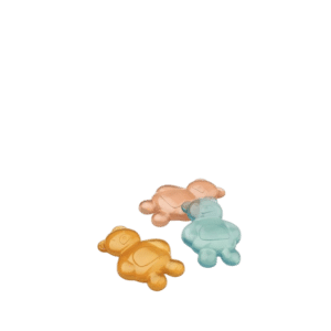 Kayden Lunchbox Coolers 3-Pack, Mr.Bear