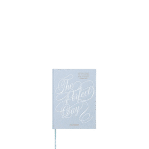 The Perfect Day - Fill in Book