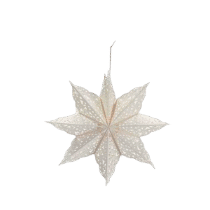 Star Clip White Ornaments