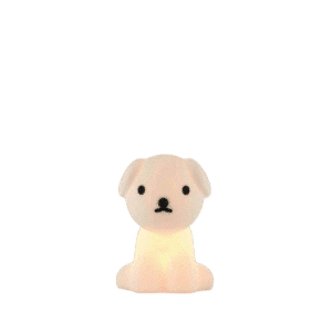 Snuffy, Bundle of Light