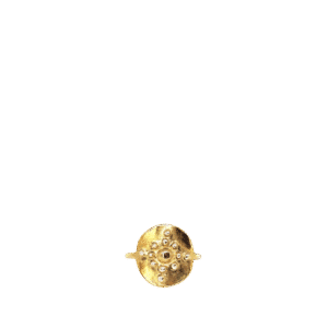 Orion Ring
