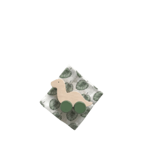 Dino Box + Bamboo Swaddle