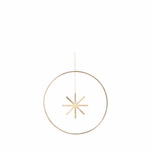 Winterland Brass Star - Large