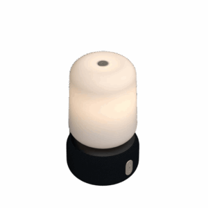aLoomi, Bluetooth speaker