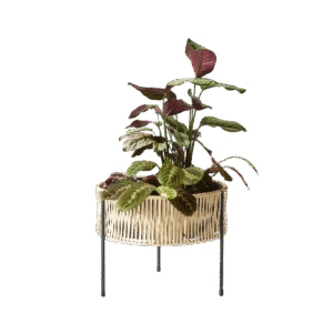 Umanoff Planter, 32.5cm