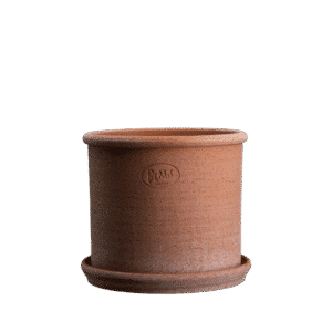 Modena Raw Pots, Rosa