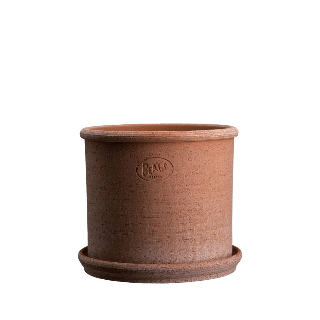 Modena Raw Pots, Rosa