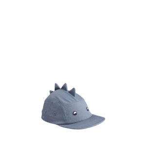 Rory Cap, Dino Blue Wave