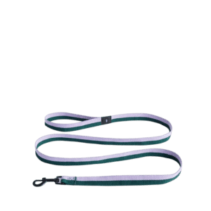 HAY Dogs Leash Braided