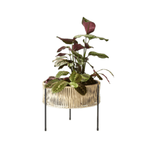 Umanoff Planter