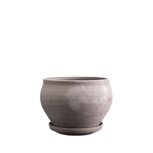 Delphi Low Pot + Saucer RAW Grey