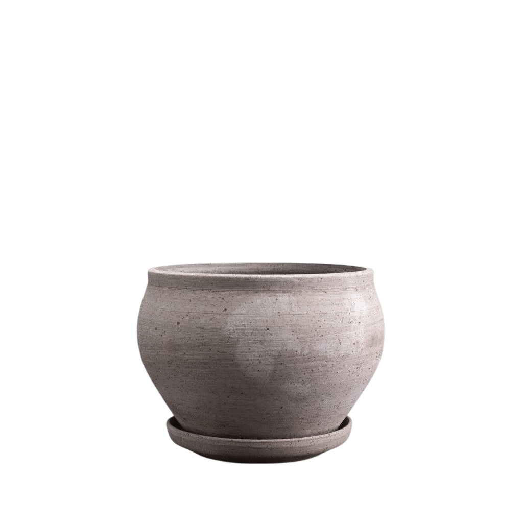 Delphi Low Pot + Saucer RAW Grey