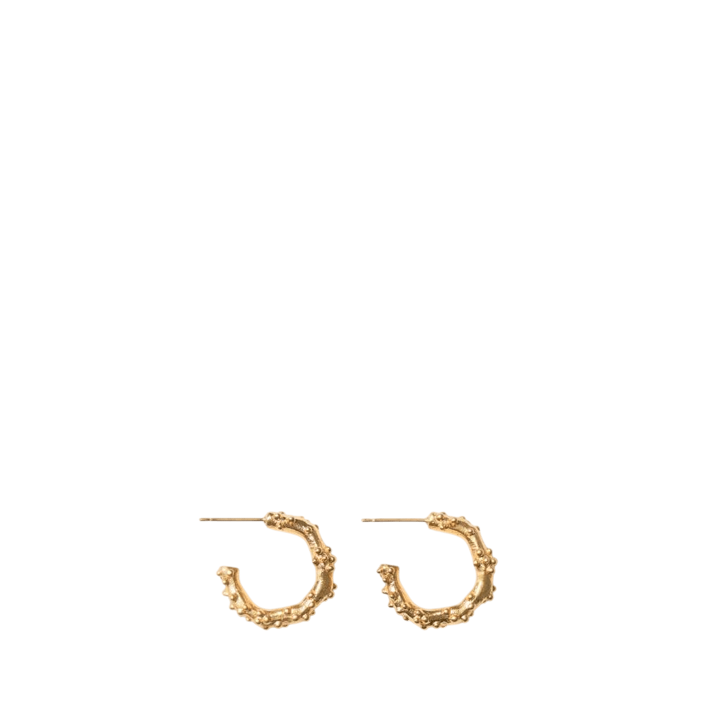 Leo Double Earrings