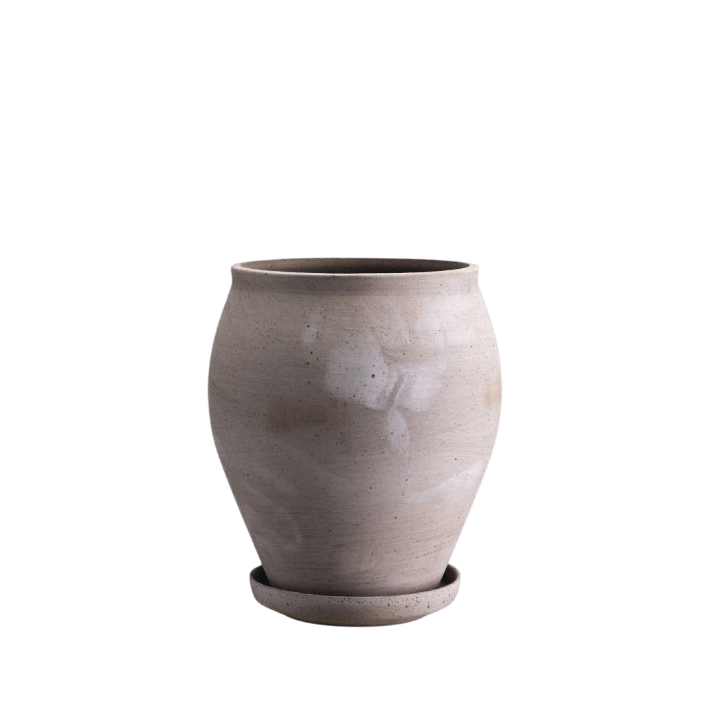 Delphi Tall Pot + Saucer RAW Grey