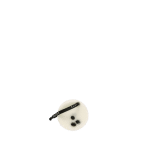 Wax Bars, Small