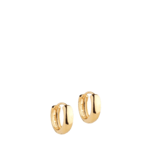 Classic Wide Hoops