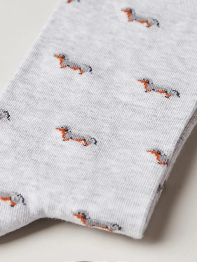 web-pooch-new-DETAIL_900x