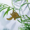 Plant Animal, Flying Squirrel