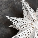 Star Clip White Ornaments