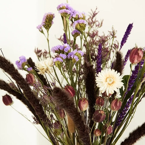 Dried Flowers Market More Bouquet - Meadow Violet