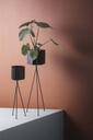 Plant Stand, Low