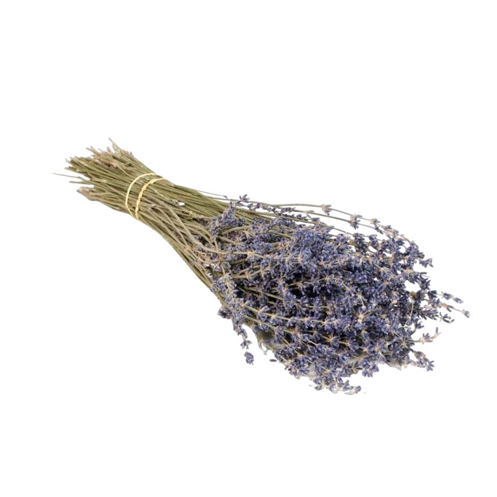 Dried Flowers - Lavender