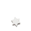 Silver Icon Charm Star