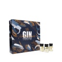 The Gin Advent Calendar Premium Edition
