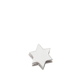 [FSDL01400] Silver Charm Star