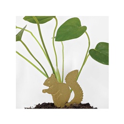 [GLAN01000] Plant Animal, Squirrel