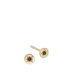 [FSAC16800] Polaris Black Spinel Stud Earring