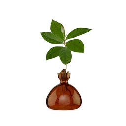 [ALIS00200] Avocado Vase