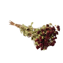 [HDFL01501] Dried Flowers - Spray Roses Natural Red