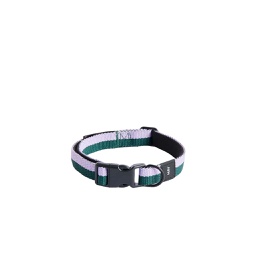 [FSHY01700] HAY Dogs Collar Flat S/M, Lavender/Green