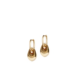 [FSNI05500] Golden Pebble Earring